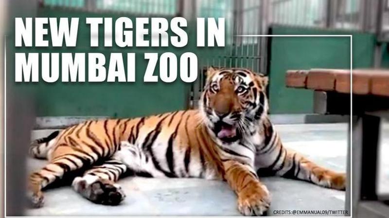 Byculla zoo