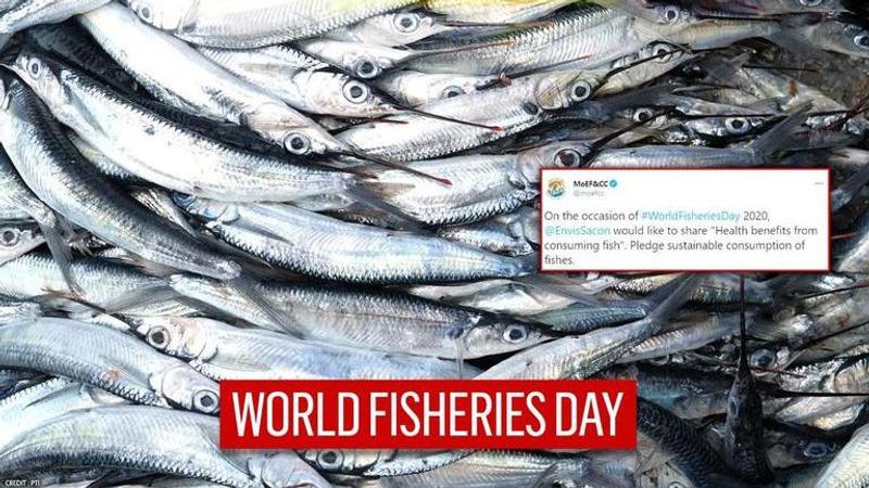 World Fisheries Day