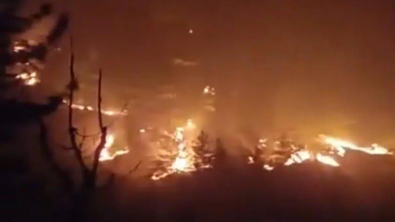 Forest fire in Manali