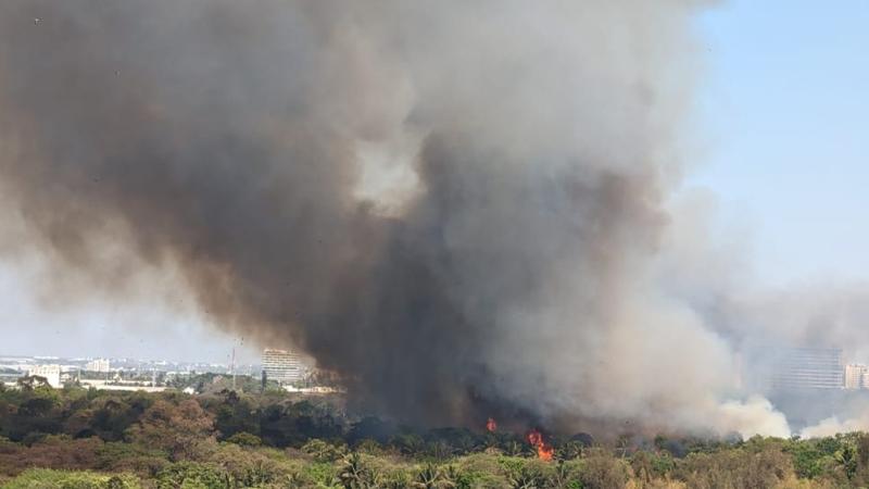 Massive fire breaks out in Kadugodi forest area in Karnataka