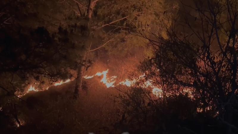 Major forest fire spreads in Tanda village of Jammu