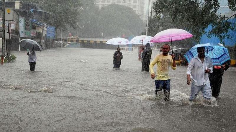 Mahashtra rainfall