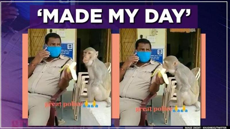 Video of police officer feeding banana to amputee monkey wins hearts