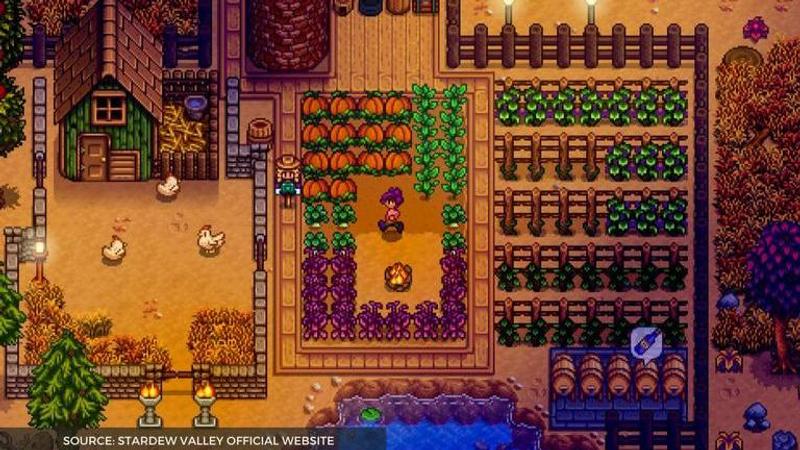 stardew valley