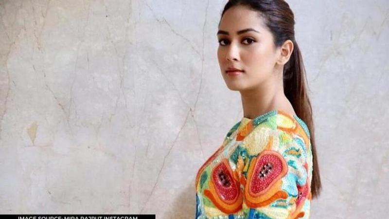 Mira Rajput shares glimpse of her new house with Shahid Kapoor amid lockdown