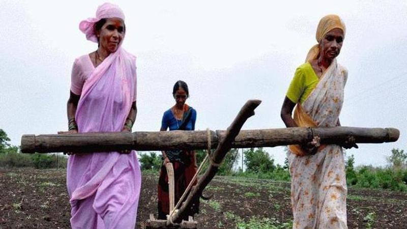 All about autonomy: single women farmers form collective, become entrepreneurs