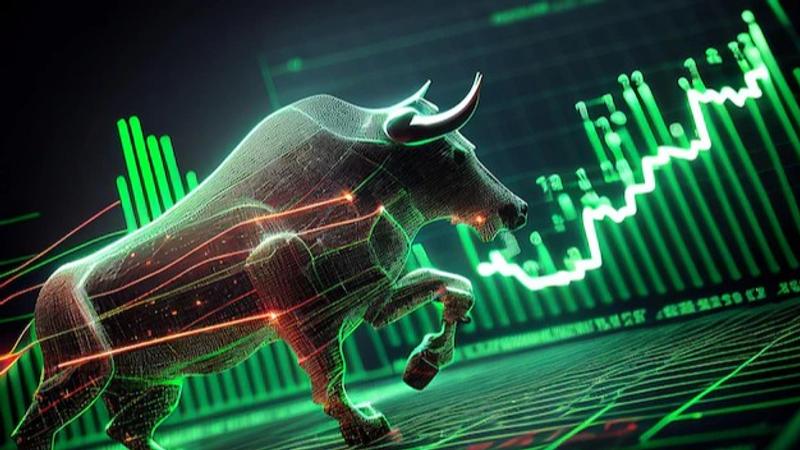 Nifty 50 hits fifth all-time high in 2024, amid fiscal boost