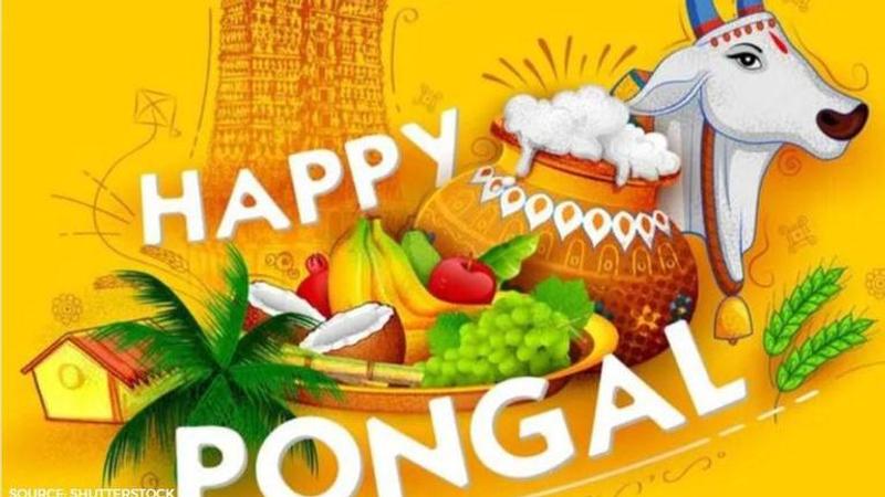 pongal 2021