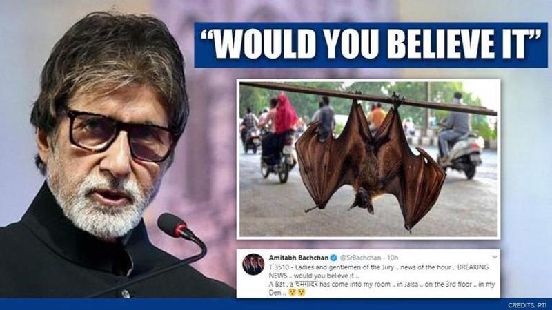 Amitabh Bachchan shares 'breaking news' of bat landing in his room at Jalsa, gets flak