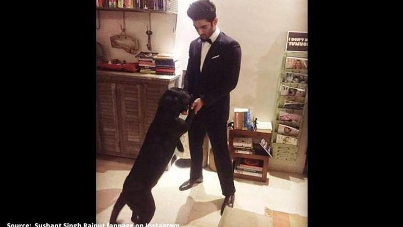 Sushant Singh Rajput's pet dog Fudge