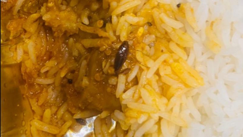 A passenger shared a picture after finding a cockroach in his Vande Bharat meal.