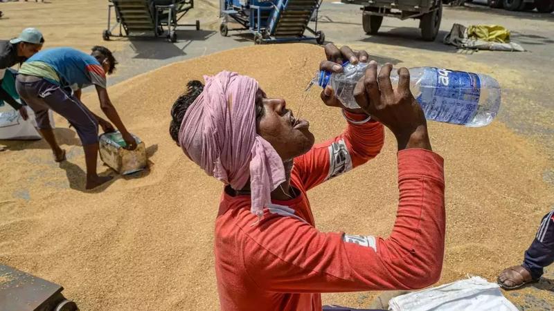 Mumbai Heat Wave: Temperatures Likely to Surge to 41-43 Degrees Next Week