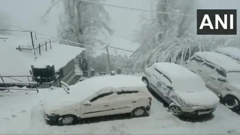 172 Roads Including 4 National Highway Closed As Snow And Rain Lashes Portions Of Himachal Pradesh