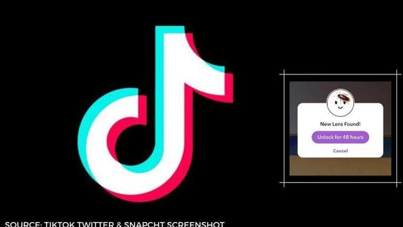 how to get the cockroach filter on tiktok