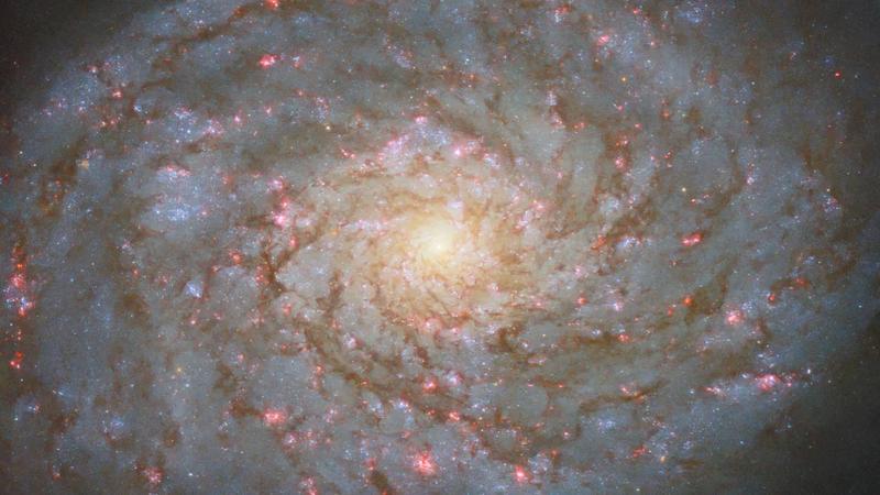 "A Galaxy Fit For A Queen": Nasa Unveils Stunning Image Of Spiral Galaxy NGC 4689