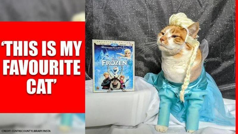 US library dresses their cat as 'Frozen's' Elsa to celebrate Idina Menzel's birthday