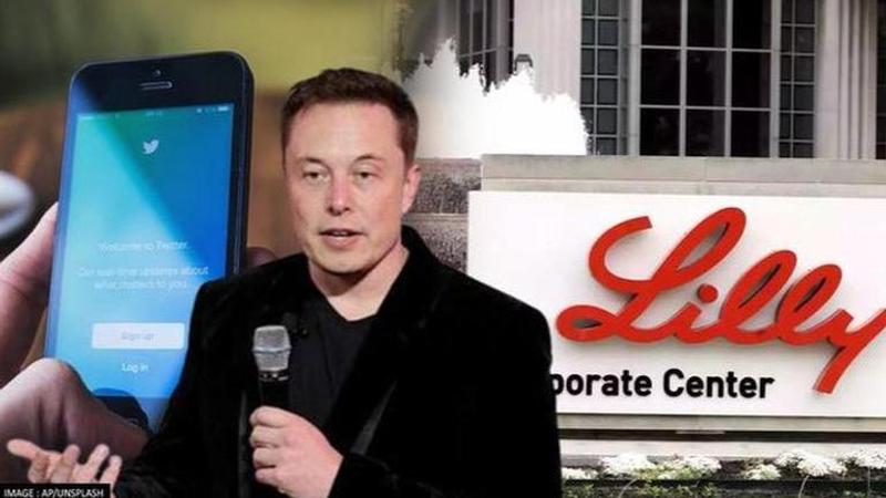 Eli Lilly and Twitter CEO Elon Musk