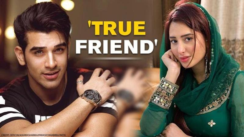 Paras Chhabra tags Mahira Sharma as 'true friend', says 'thank you for coming in my life'