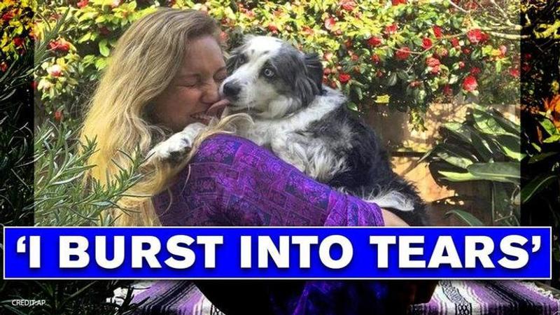 Woman reunited with her 'blue-eyed dog', four months after hiring plane to find him