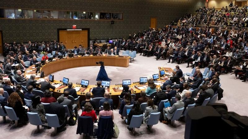 Palestine's Demand Grows for Full UN Membership, But US Certain of Blocking It Again