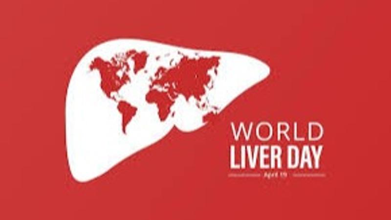 World Liver Day Observed on 19 April.  