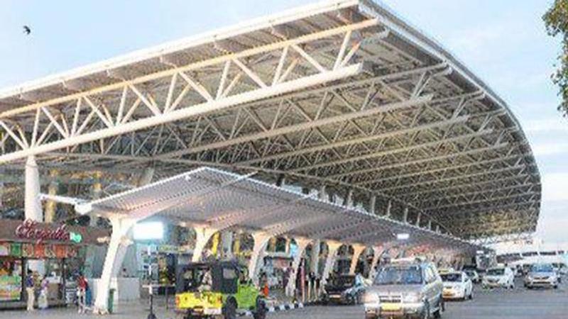 Rare wild life species seized at Chennai airport