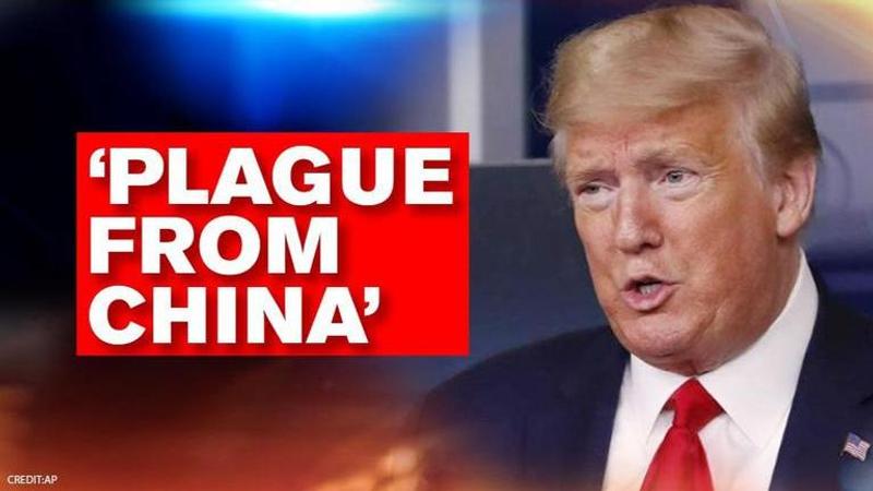 US: Trump blames China for the coronavirus, claims they let it happen