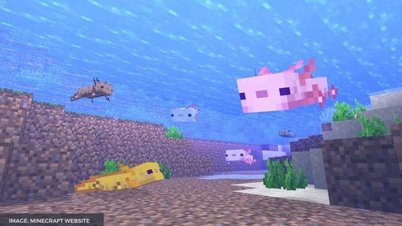 what do axolotls eat in minecraft