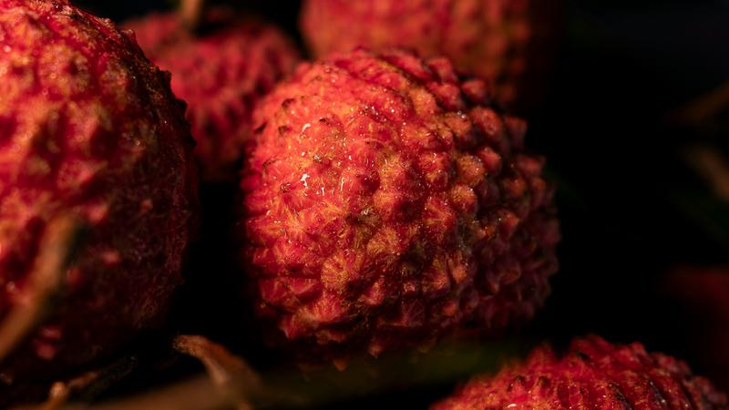 Litchi 