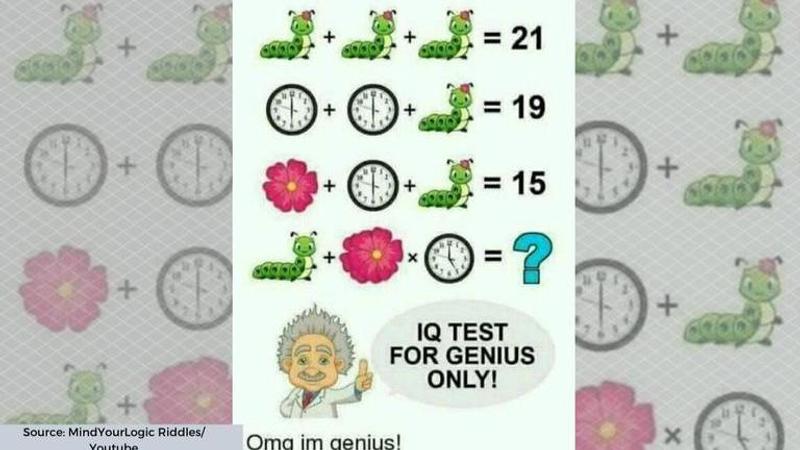 caterpillar flower clock puzzle