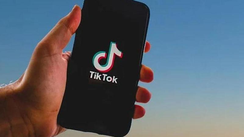 Egyptian women get 2 years in prison for TikTok dance videos