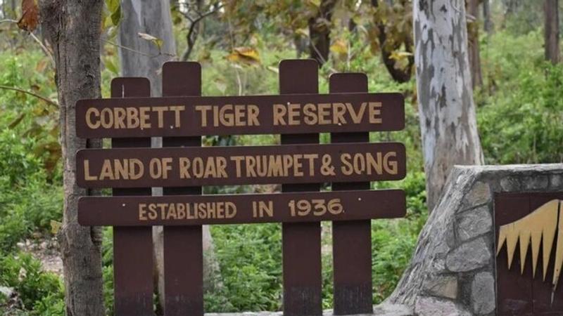 Jim Corbett National Park