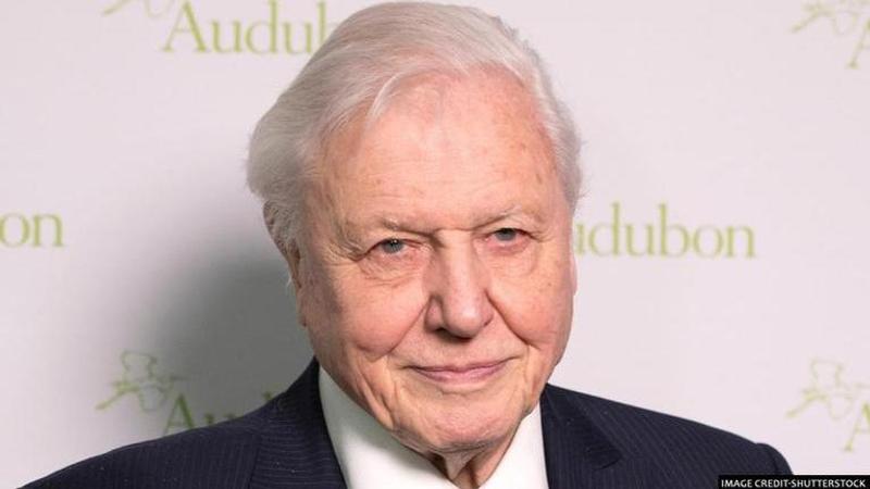 David Attenborough