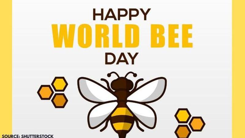 World bee day 2020