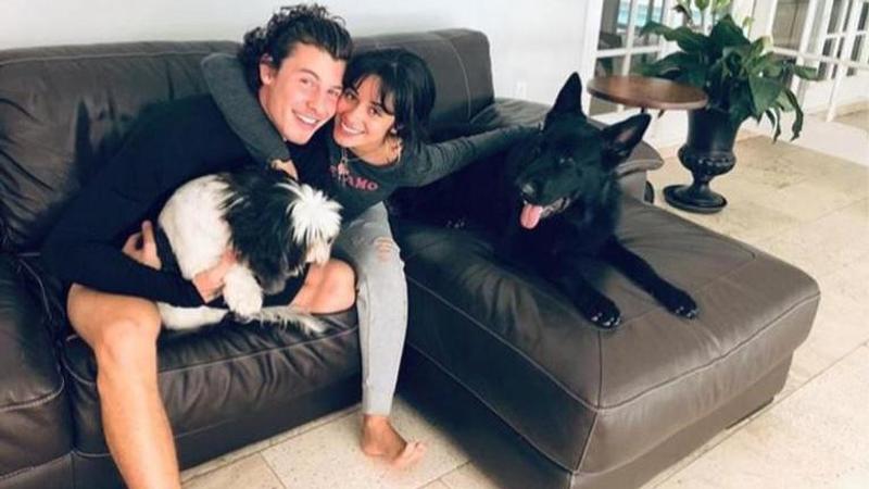 Shawn Mendes and Camilla Cabello