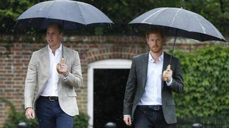 Prince Harry and William decide to split proceeds