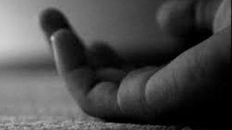 Body of 4-year-old found in Delhi's Kirti Nagar; death due to snake bite suspected