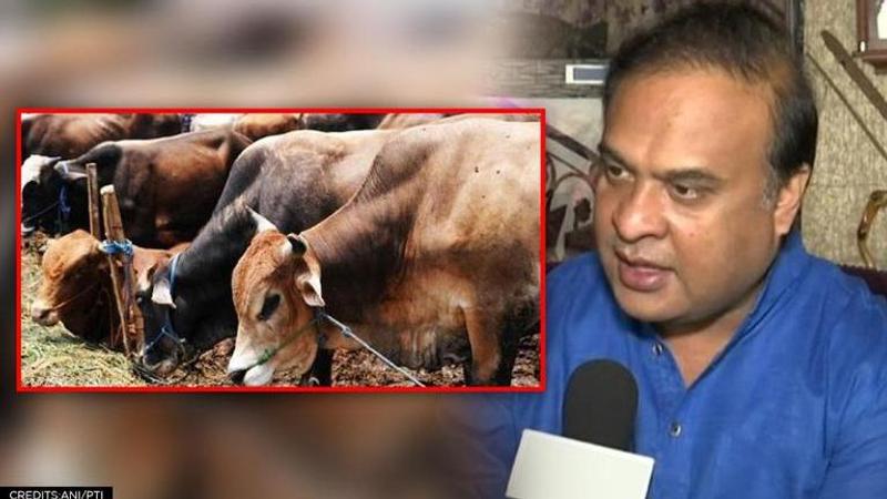 Cow protection bill, Assam