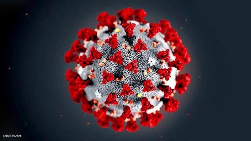 Coronavirus