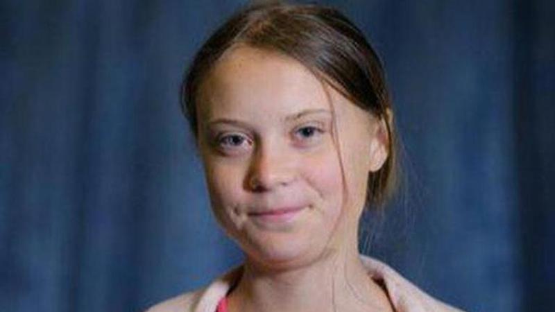 New Spider genus named after teenage climate activist Greta Thunberg