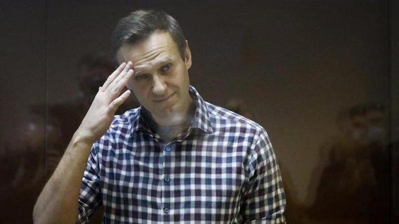 Kremlin critic Alexei Navalny asks for painkiller injections in prison, say POC members