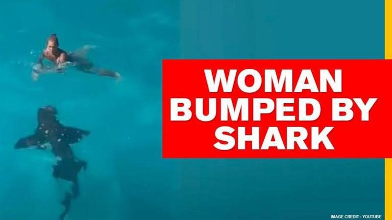 Woman jumps into ocean, comes dangerously close to a 8ft shark