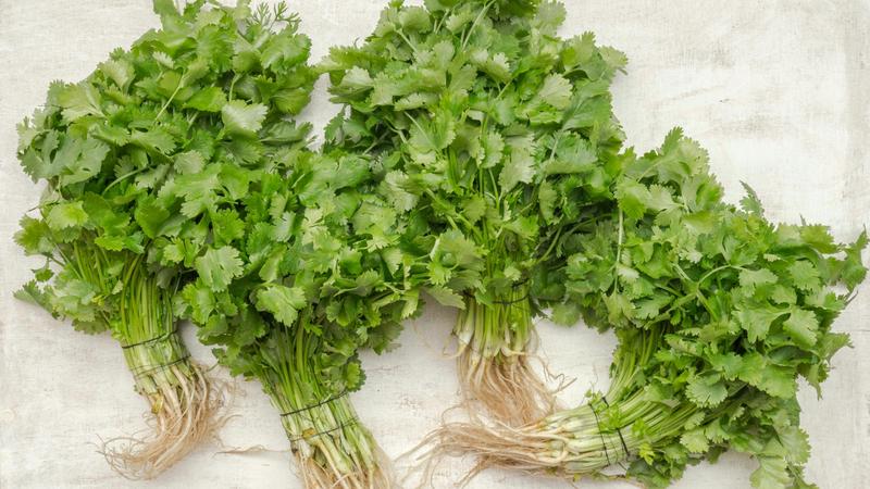 Lesser Known Benefits Of Common Herbs