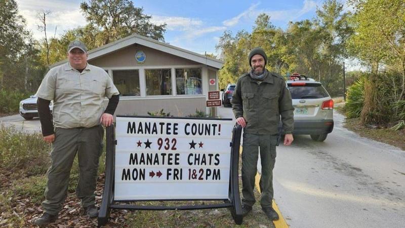 Nearly 1K manatees spotted in record-breaking swim at Florida park