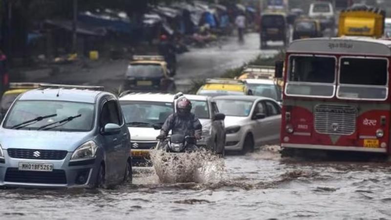 Mumbai Monsoon 2024: City to Witness Arrival of Rain on This Date | Full IMD Forecast Here  