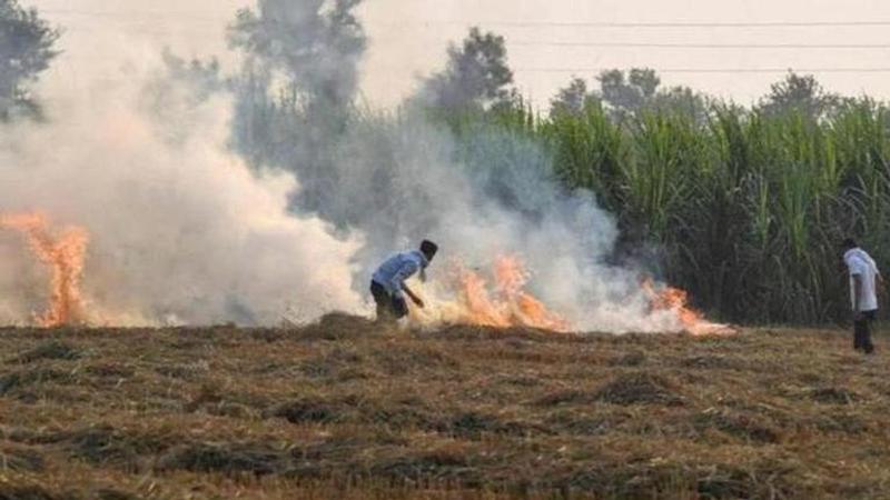 Stubble burning