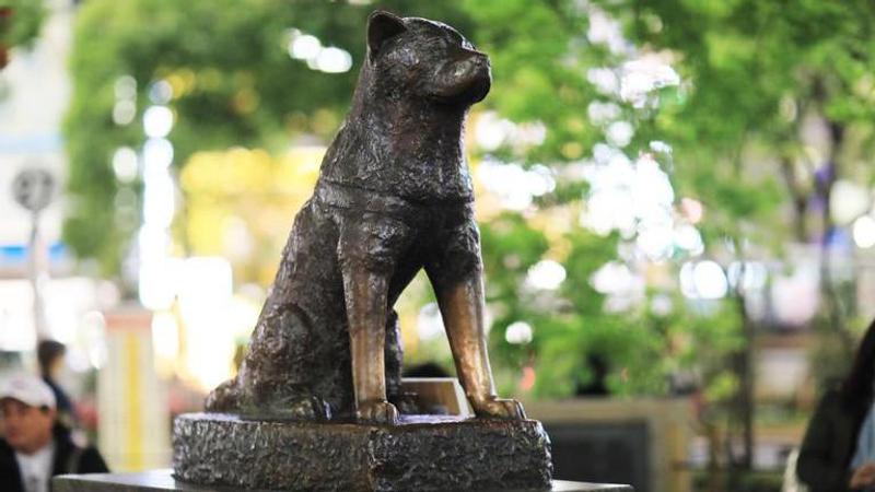 Hachiko