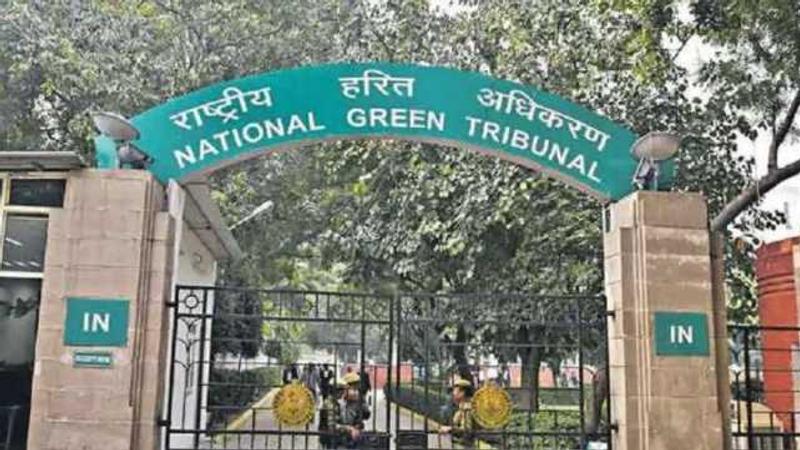 National Green Tribunal orders action against illegal breeding, farming of African catfish in UP