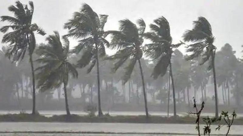 Cyclone Burevi: Thiruvananthapuram authorities commence preparations after IMD warning