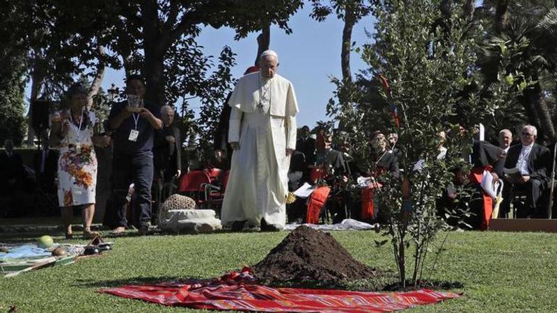 Pope: Use pandemic to give the environment a vital